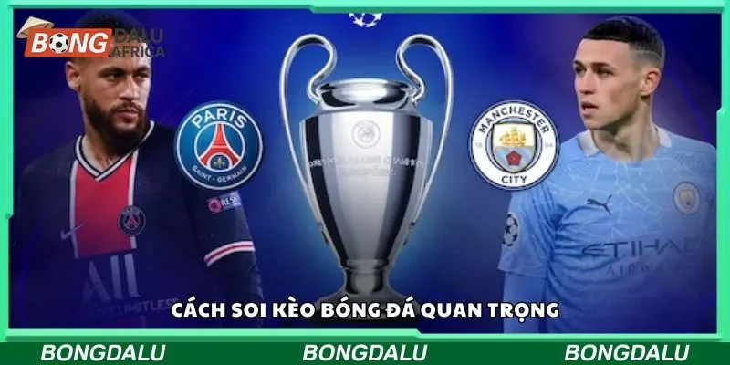 Cách soi kèo bóng đá quan trọng