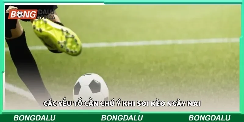 Các yếu tố cần chú ý khi soi kèo ngày mai