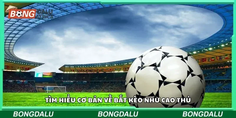 Tìm hiểu cơ bản về bắt kèo như cao thủ