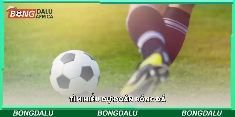 Tìm hiểu dự đoán bóng đá