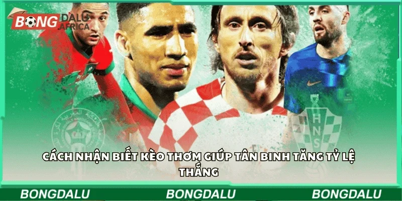 Cách nhận biết kèo thơm giúp tân binh tăng tỷ lệ thắng