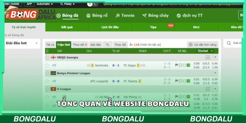 tổng quan về bongdalu