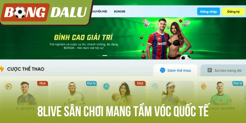 8Live sân chơi mang tầm vóc quốc tế
