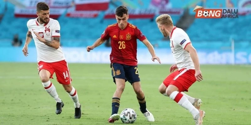 Đánh giá tình hình Hellas Verona vs Udinese