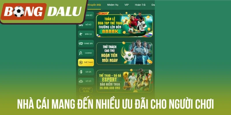 Nhà cái mang đến nhiều ưu đãi cho người chơi