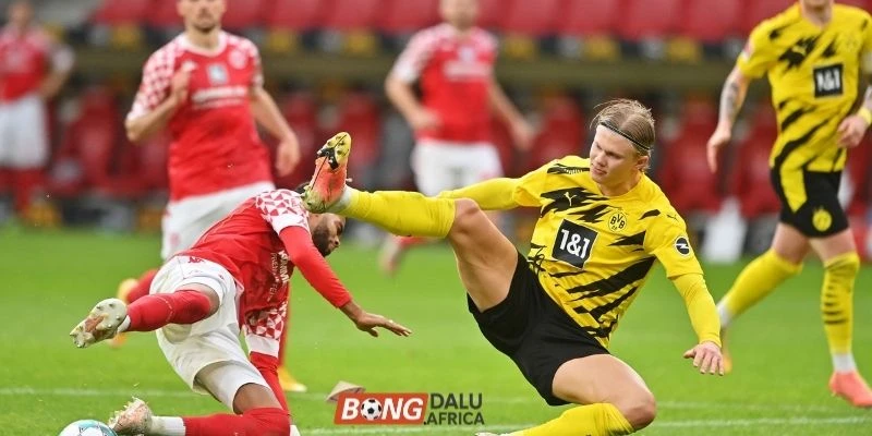 Cập nhật phong độ cặp đấu Borussia Dortmund vs Mainz 05