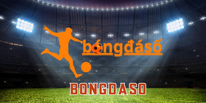 Bongdaso – Trang cá cược cung cấp kiến thức kèo nhà cái chuẩn xác
