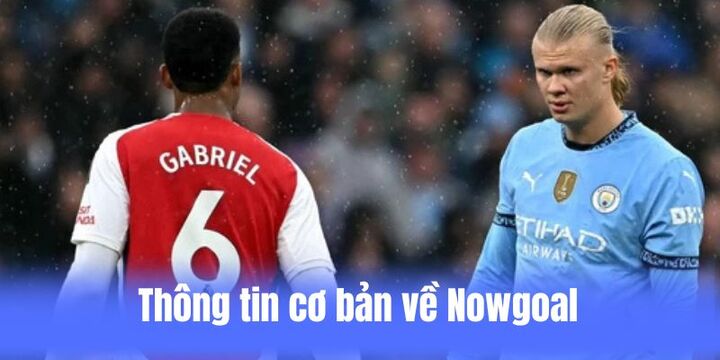 Sơ lược vài nét về website Nowgoal 